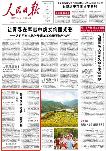 全民烧脑3去广告版